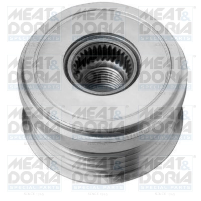 Alternator Freewheel Clutch